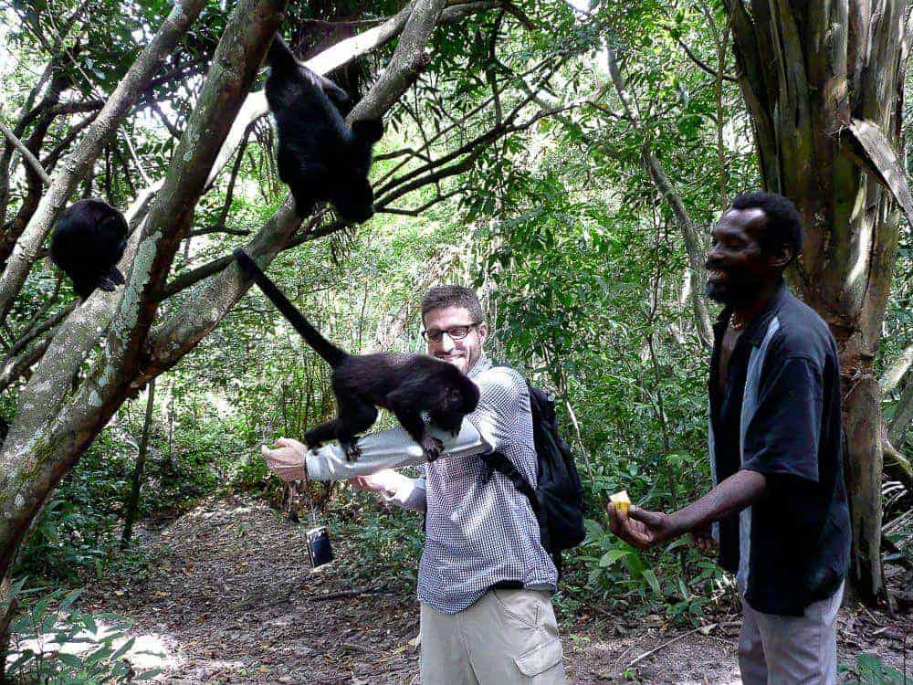 Howler Monkey Sanctuary Shore Excursion excursion image