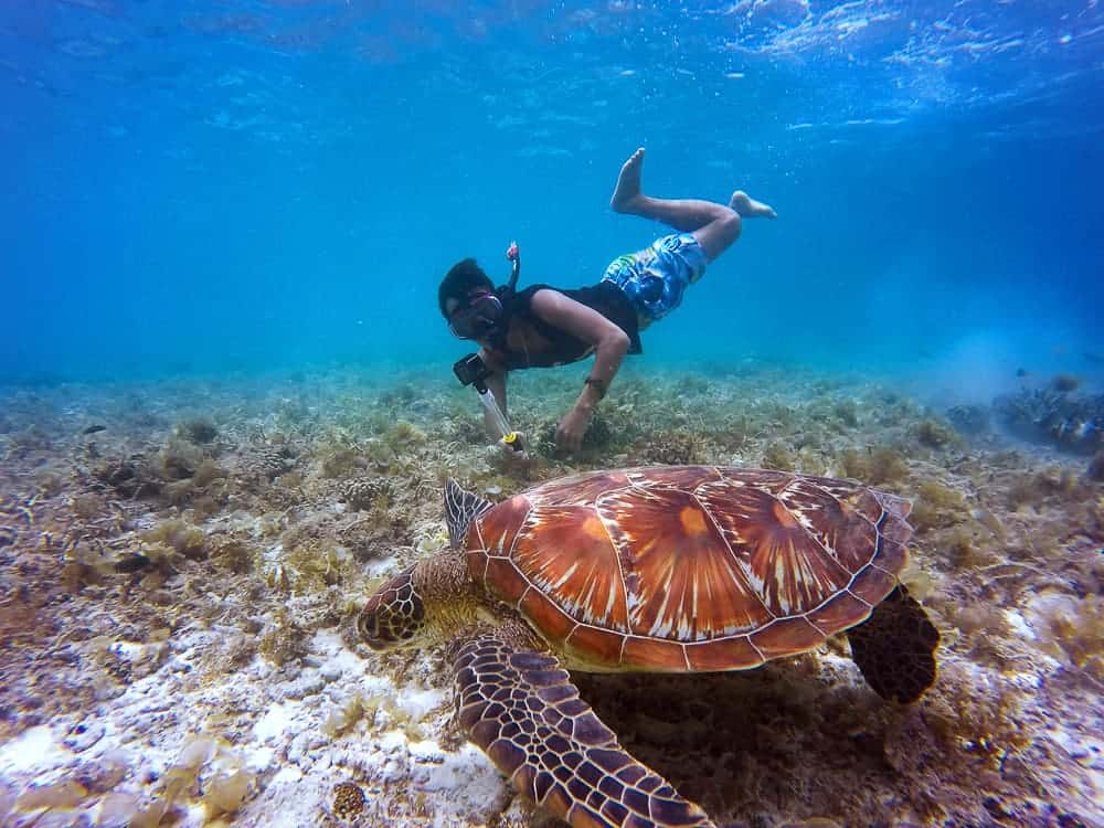Belize Snorkeling Tours in Belize