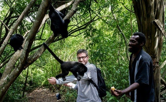 Crooked Tree Wildlife Sanctuary Birding by Boat from Belize City