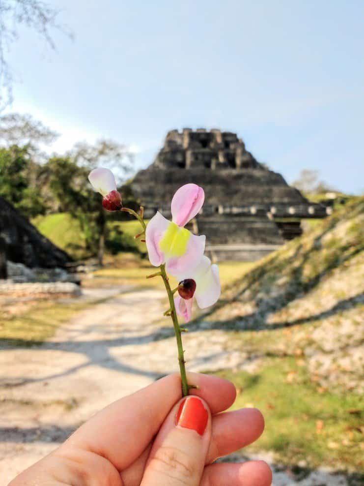 Xunantunich, Cave Tubing & Ziplining from Hopkins