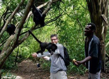 Close encounter with black howler monkeys at Belize’s Community Baboon Sanctuary.